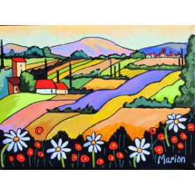 Couleurs des champs 5x7