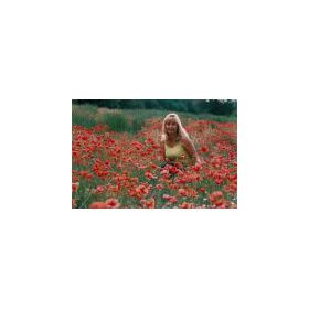 2005 Haute Provence